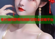 老外独闯萝莉岛精彩冒险全攻略平台