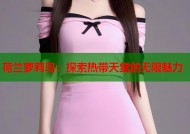 荷兰萝莉岛：探索热带天堂的无限魅力