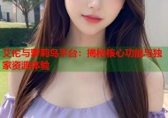 艾伦与萝莉岛平台：揭秘核心功能与独家资源体验