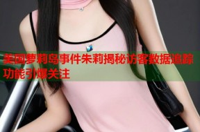 美国萝莉岛事件朱莉揭秘访客数据追踪功能引爆关注