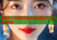 美国布什访萝莉岛战略基地揭秘平台功能与用途