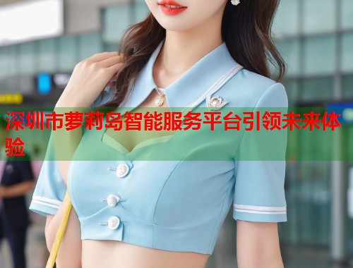 深圳市萝莉岛智能服务平台引领未来体验  第1张
