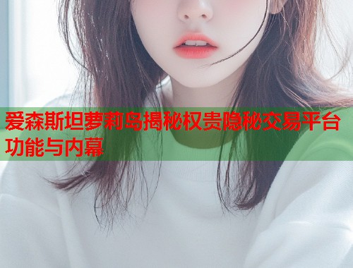 爱森斯坦萝莉岛揭秘权贵隐秘交易平台功能与内幕  第1张
