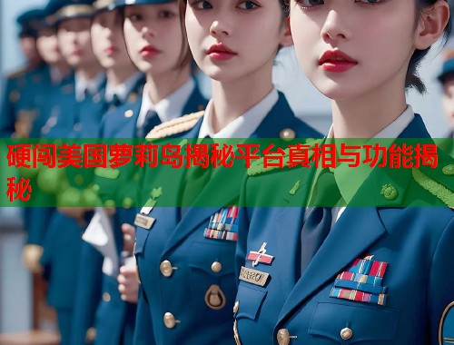 硬闯美国萝莉岛揭秘平台真相与功能揭秘  第1张