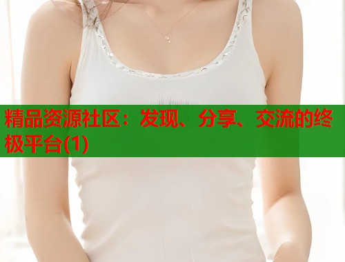 精品资源社区：发现、分享、交流的终极平台(1)  第1张