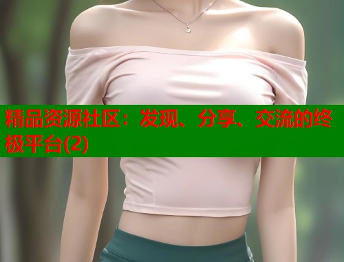 精品资源社区：发现、分享、交流的终极平台(2)  第1张