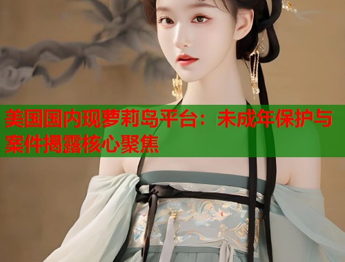 美国国内现萝莉岛平台：未成年保护与案件揭露核心聚焦  第1张