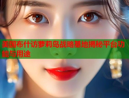 美国布什访萝莉岛战略基地揭秘平台功能与用途  第1张