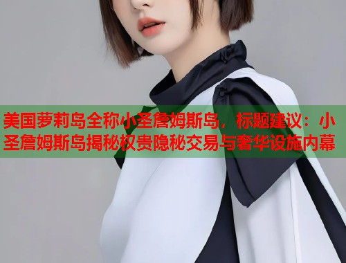 美国萝莉岛全称小圣詹姆斯岛，标题建议：小圣詹姆斯岛揭秘权贵隐秘交易与奢华设施内幕  第1张