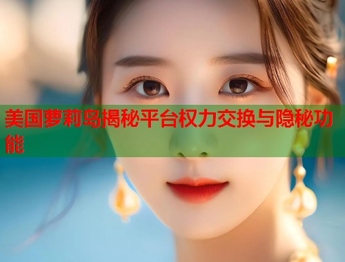 美国萝莉岛揭秘平台权力交换与隐秘功能  第1张