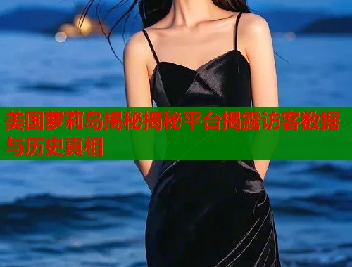 美国萝莉岛揭秘揭秘平台揭露访客数据与历史真相  第2张