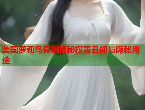 美国萝莉岛真相揭秘权贵丑闻与隐秘用途  第1张