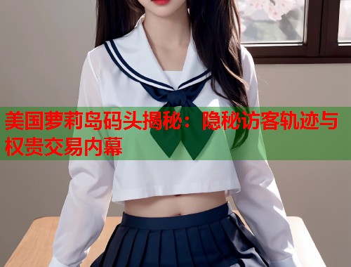 美国萝莉岛码头揭秘：隐秘访客轨迹与权贵交易内幕  第2张